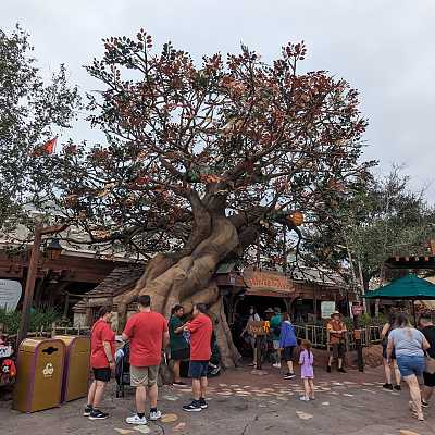 The Many Adventures of Winnie The Pooh